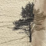 Sara Brennan, Estate Tree III, 2023