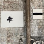 Sara Brennan, Estate Tree III, 2023