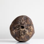 Tim Martin, After the Fire, 2024