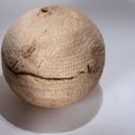 Robert George, Small Sycamore Boule, 2025