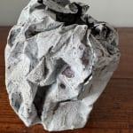 Tim Martin, After the Fire, 2024