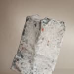 Tim Martin, After the Fire, 2024