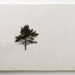 Sara Brennan, Estate Tree III, 2023