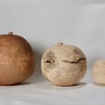 Robert George, Small Sycamore Boule, 2025