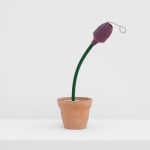 Feliciano Centurión, Maceta (Flowerpot), 1990