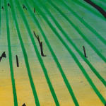 José Antonio da Silva, Untitled, 1979
