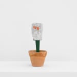 Feliciano Centurión, Maceta (Flowerpot), 1990