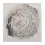 John Descarfino, Flesh and Stone (IX), 2009