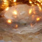 Jean-Gabriel Neukomm, Nephelepsis , 2021