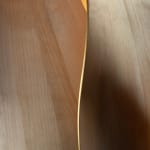 Ian Milnes, BROKEN TULIPS 3, 2024