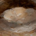 Jean-Gabriel Neukomm, Nephelepsis , 2021