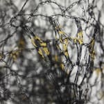 Dawn Bendick, Time Rock Stack 3 , 2023