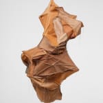 Esteban Ramón Pérez, Cocoon (Shadow Clone), 2025