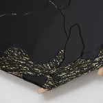 Esteban Ramón Pérez, Cocoon (Shadow Clone), 2025