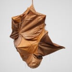 Esteban Ramón Pérez, Cocoon (Shadow Clone), 2025
