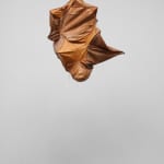 Esteban Ramón Pérez, Cocoon (Shadow Clone), 2025