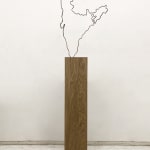 Shilpa Gupta, MapTracing #1-IN, 2012 - ongoing