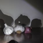 Archana Hande, All is Fair in Magic White, 2009