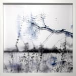 Arlene Byster, Whispers Retold, 2025