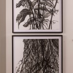 Cynthia Weiss, Mississippi River Flyway, 2024