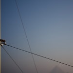 Chris Levine, Quadrivium, 2024