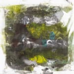 Engdaye Lemma, The land we once owned, 2025