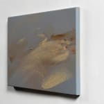 Claire Baker, one petal, rippling, 2024