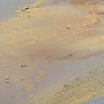 Claire Baker, one petal, rippling, 2024