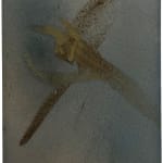 Claire Baker, air dive 1, 2023