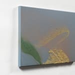 Claire Baker, one petal, rippling, 2024