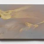 Claire Baker, one petal, rippling, 2024