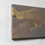 Claire Baker, one petal, rippling, 2024