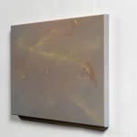 Claire Baker, one petal, rippling, 2024