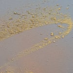 Claire Baker, one petal, rippling, 2024