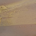 Claire Baker, one petal, rippling, 2024