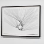 Anna Mossman, Colour Separation (V), 2025