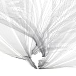 Anna Mossman, Colour Separation (V), 2025
