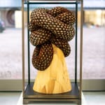 Kate MccGwire, SWELL (Pica Pica) VIII, 2025