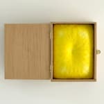 Lisa Wright, Luminous Awakening (study), 2023