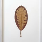 Susanna Bauer, Where We Grow II, 2025