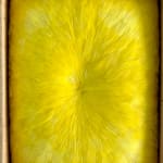 Lisa Wright, Luminous Awakening (study), 2023