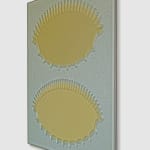 Jane Harris, Touching Light, 2018