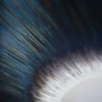 Kate MccGwire, SWELL (Pica Pica) VIII, 2025