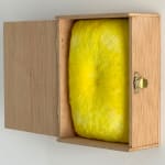 Lisa Wright, Luminous Awakening (study), 2023