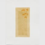 Raychel Sybil Raymonde, We Are Wild We Are Wild (Tetrapych), 2020