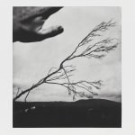 Jack Davison, Untitled, 2022