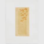 Raychel Sybil Raymonde, We Are Wild We Are Wild (Tetrapych), 2020