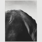 Jack Davison, Untitled, 2022