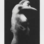 Jack Davison, Untitled, 2022