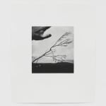 Jack Davison, Untitled, 2022